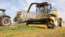 NH_hay