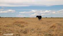 PlanAndMonitor_ph