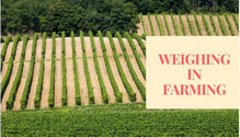 Quality-scales-on-board-weighing