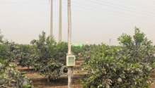 Ranch-Systems-photo-1