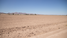 Robinson_AF_21-web