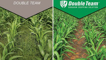 SANW_Double_Team