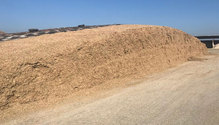 Sealpro-Forage-Contest-pile