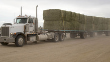 Sept-Hay-Price