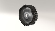 Shark_tire