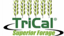 TriCal