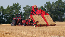 VonSteinMR34