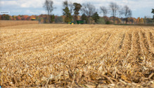 WE_field