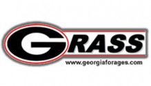 georgia_grass