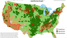 haydrought