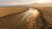 iStock-1145883808