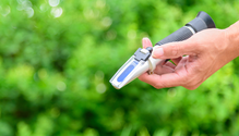 iStock-1249998105-web