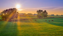iStock-1349772438-web