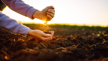 iStock-1395535128-web