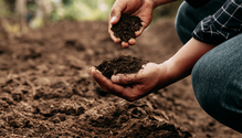 iStock-1428271673-soil