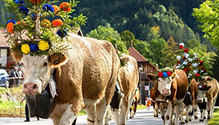 international_rangelands