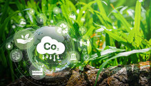 soil-carbon